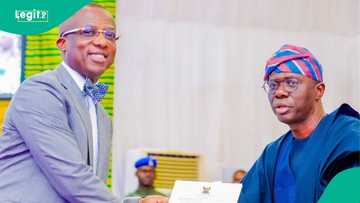 Video trends as Lagos task force arrests 84 suspects in environmental clean-up enforcement