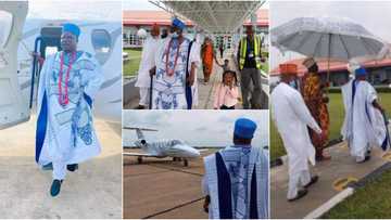 Olofa of Offa alights from private jet in grand style, beautiful photos cause huge stir on social media