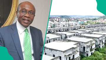 Godwin Emefiele: Estate agents propose what FG should do with 753 seized properties