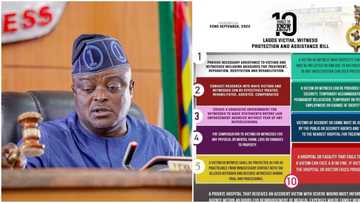 10 things to know about Lagos New Victim, Witness Protection and Assistance Bill