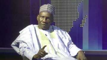 Baya da Maiduguri, babu inda ke da tsaro a cikin jihar Borno, Farfesa Dikwa