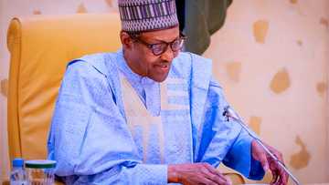 Buhari: Ainihin dalilin da yasa na naɗa Yahaya shugaban sojoji na tsallake na gaba da shi