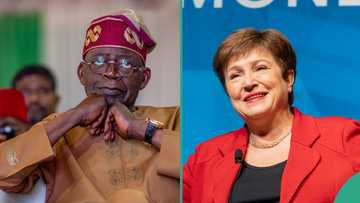 IMF releases new list of countries with lowest debt in Africa, Nigeria absent
