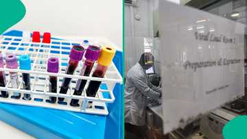 Full list of states with the highest number of people who newly tested HIV positive to HIV in 2026