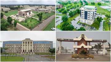 List of Nigeria's private universities as FG approves 20 new ones