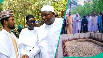 Buhari's death: Gambian President Adama Barrow storms Daura, Moments Captured on Video and Photos