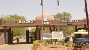 Da duminsa: Ganduje ya bada umurnin rufe jami'ar Bayero da manyan makarantu a Kano