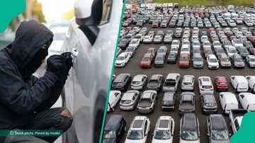 New research shows which car models face highest theft risk, number stolen yearly