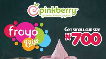 Dive into Guilt-Free Indulgence & Experience Awesome Froyo Adventure with Pinkberry this March