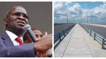 How IPOB Halts Completion of Second Niger Bridge, Fashola Makes Stunning Disclosure