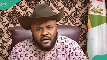"It's outrageous": IPAC condemns attack on Nwanyanwu, demands immediate investigation
