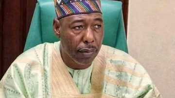 Kwaya-Bura: Kwamishinan da Zulum ya kora daga aiki a Borno ya yi martani