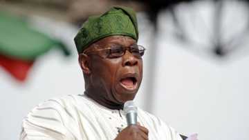 What Boko Haram members told me when I met them, Obasanjo makes stunning revelation