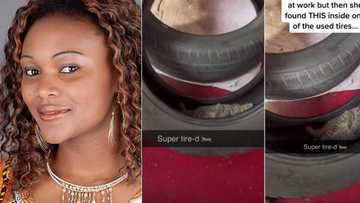 "Take them home with you": Lady shocked as she arrives at work to see 2 cats cuddling inside her car tyre