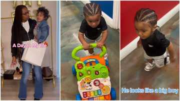 "I would have paid": Teacher plaits boy's hair into cornrows, mother sees kid, reacts at closing time