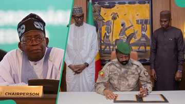 Mali, Niger and Burkina Faso introduce 0.5% levy on imported goods from Nigeria, other ECOWAS countries