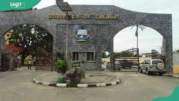 University of Calabar suspends 19 students, gives reason