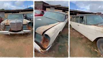 "I want to buy it for N6m": Nigerian man unveils old Limousine car dumped for many years, video goes viral