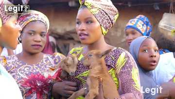 Ana ga wata, ga wata: An yi bukin radin sunan awakai biyu, Afnan da Hanifa (Hotuna)