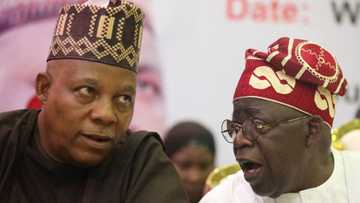 Anxiety as Tinubu set to make first appointments after inauguration