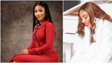 I had a dream I was winning souls: BBNaija's Mercy Eke says she has not partied for 8 days, nor drank alcohol