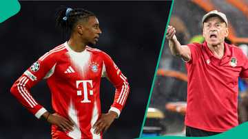 Gernot Rohr explains why Michael Olise rejected playing for Super Eagles