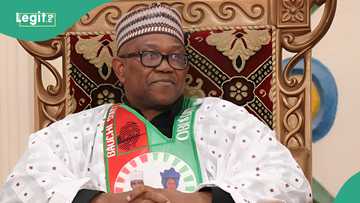 Peter Obi urged to leave Labour Party ahead of 2027 election, reason emerges
