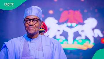 Buhari's burial: Tinubu makes 29 appointments, list emerges