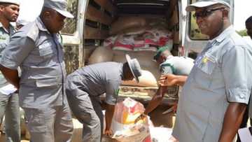 Nigerian Customs intercepts N1trn worth of food items, others amid high inflation