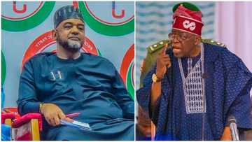 “You lacked the gut to do what Tinubu did within 3 weeks”: Presidency blasts PDP