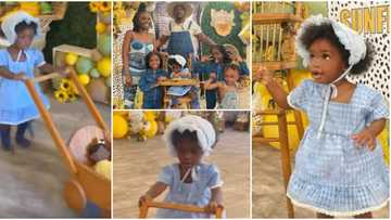 Couple make big statement with 1st birthday celebration of their daughter, share photos online