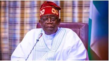 President Tinubu sets new record with second batch of ministerial nominees