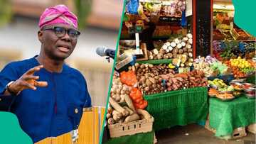 Lagos launches programmes to improve food production, reduce post-harvest losses