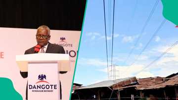 Dangote zai fara samar da wutar lantarki a Najeriya