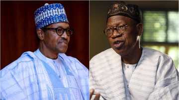Saurari baitocin wakar da ta sa Ministan Labarai, Lai Mohammed, ya ba da umarnin a kama dan jarida, Jolayemi (Bidiyo)
