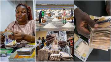 Nigerians once spent salt, bottles as money, 6 other interesting facts about country's currencies