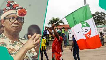 PDP govs' defections: "Southeast can't be captured," Obi breaks silence