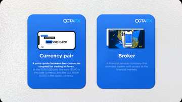 Trading Forex as a Beginner: 5 Tips and 10 Terms You Need to Know