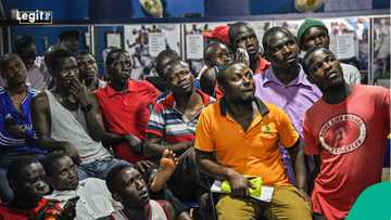 Nigeria ranked No.1 in list of African countries dominating sporting betting