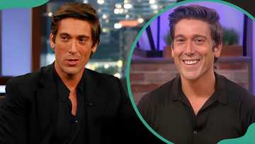 Is David Muir gay? The ABC anchor’s relationship history revealed