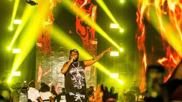 Beyond the Hype: ApiLifestyle on the Culture, Chaos, and Class of Detty December