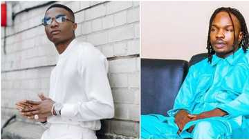 Wizkid reveals he listens to Naira Marley's songs but can't sing the words he says