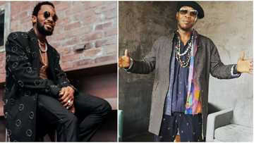 "He's as perplexed as the public": D'banj's lawyer says alleged attack on Seun Kuti is false