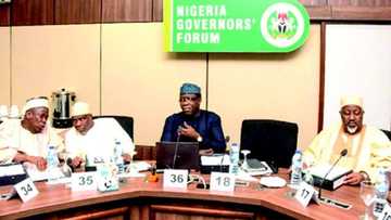 Kudaden fansa ake amfani dasu wurin cigaban Boko Haram, Gwamnoni