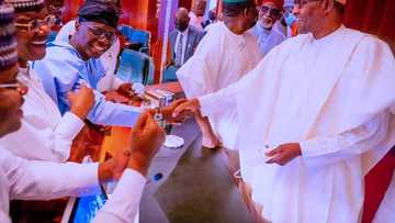 Sanwo-Olu, 16 other governors, 5 ministers to chair APC convention sub-committees