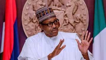Buhari reacts, vows to sanction officials over illegal recruitment as ICPC indicts Ngige ministry, others