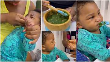 Nigerian couple 'force' their kid to eat Amala for breakfast, video goes viral as many drag the parents