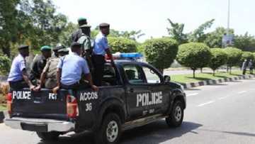 Assha: Jami'an 'yan sanda sun cafke barayi wajen Maulidi