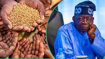 Nigeria's position worsens in Global Hunger Index 2023 report, drops 6 places