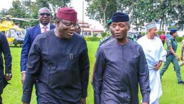 We have a vice president who is a huge bridge builder, says Fayemi